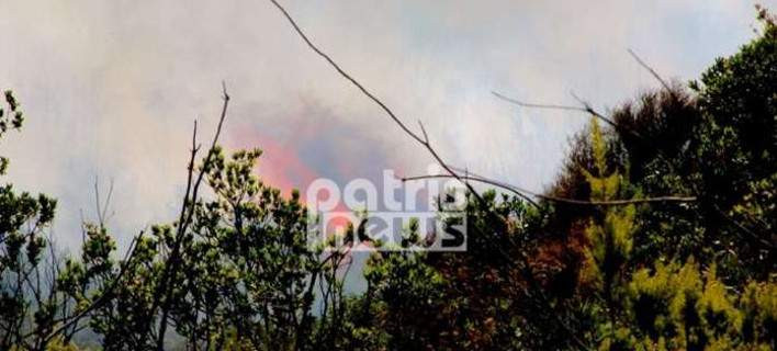 Μαίνεται πυρκαγιά στο Γεράκι Ηλείας (βίντεο)